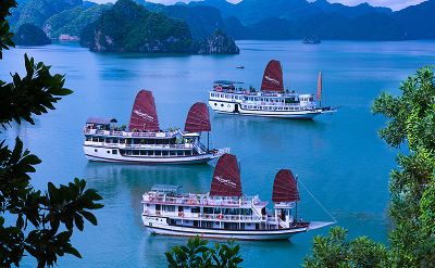 Swan Cruise Halong