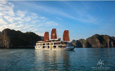 Orchid Cruise - Unique luxury Halong cruise
