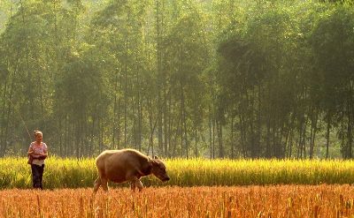 MAI CHAU - PU LUONG NATURE RESERVE