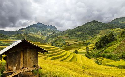 Sapa - Local homestay experience